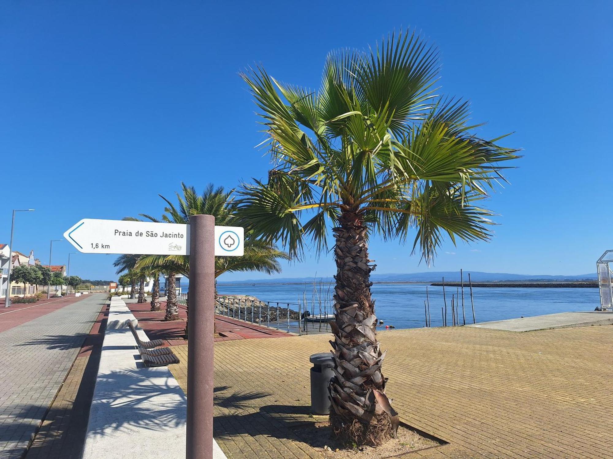 Apartment Close To The Ria De Aveiro, Sao Jacinto Экстерьер фото