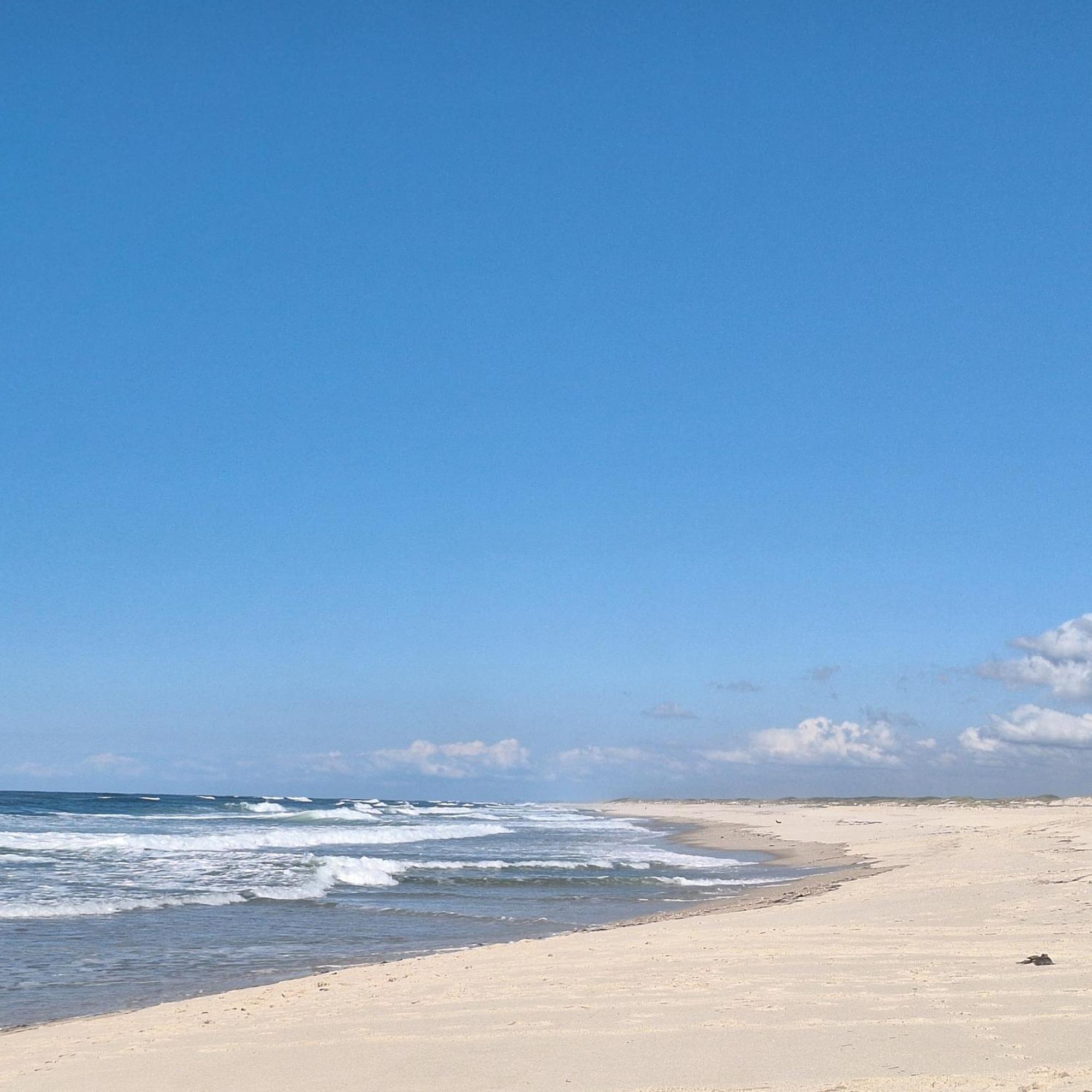 Apartment Close To The Ria De Aveiro, Sao Jacinto Экстерьер фото